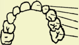 ʱ