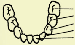 ʱ