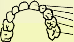 ʱ